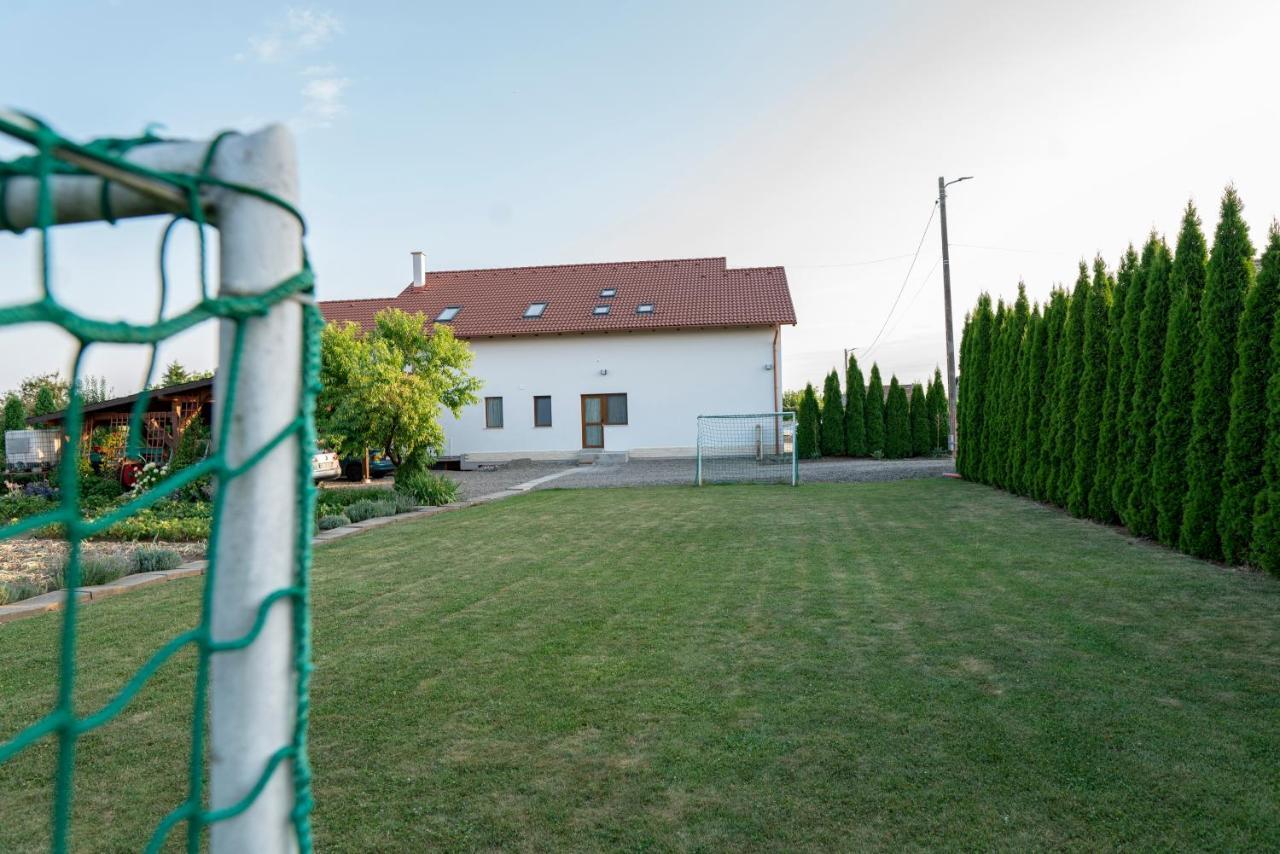 Pensiunea Gassi Sancraiu de Mures Zewnętrze zdjęcie